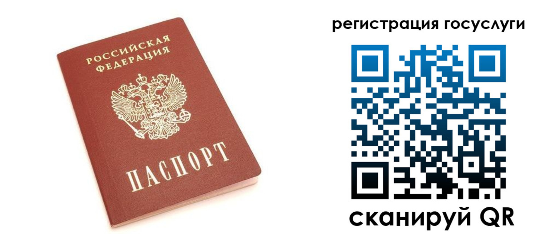 прописка 2025 в Пионерском